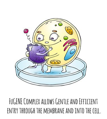cell biology class cartoon